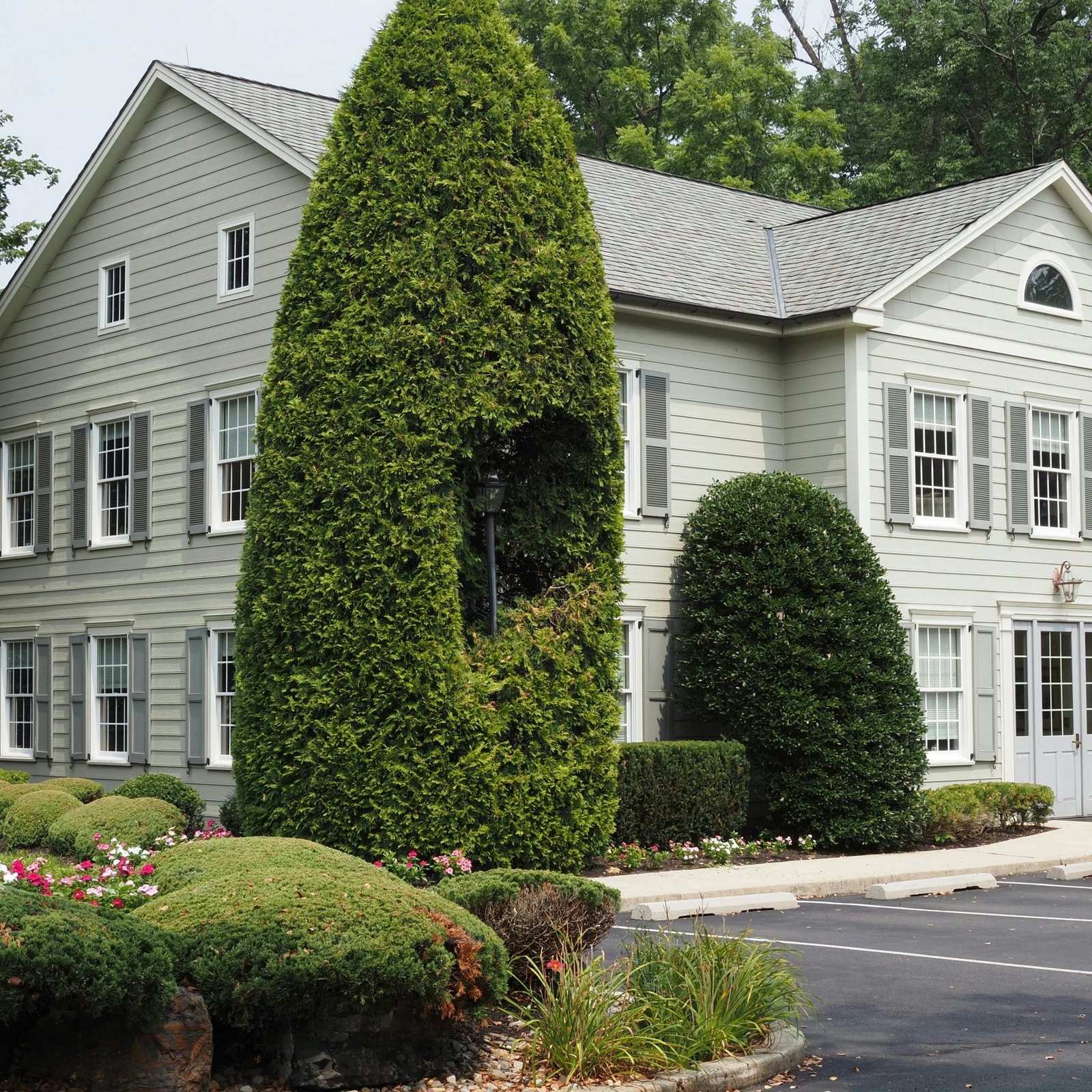 Green Peak tree service storefront