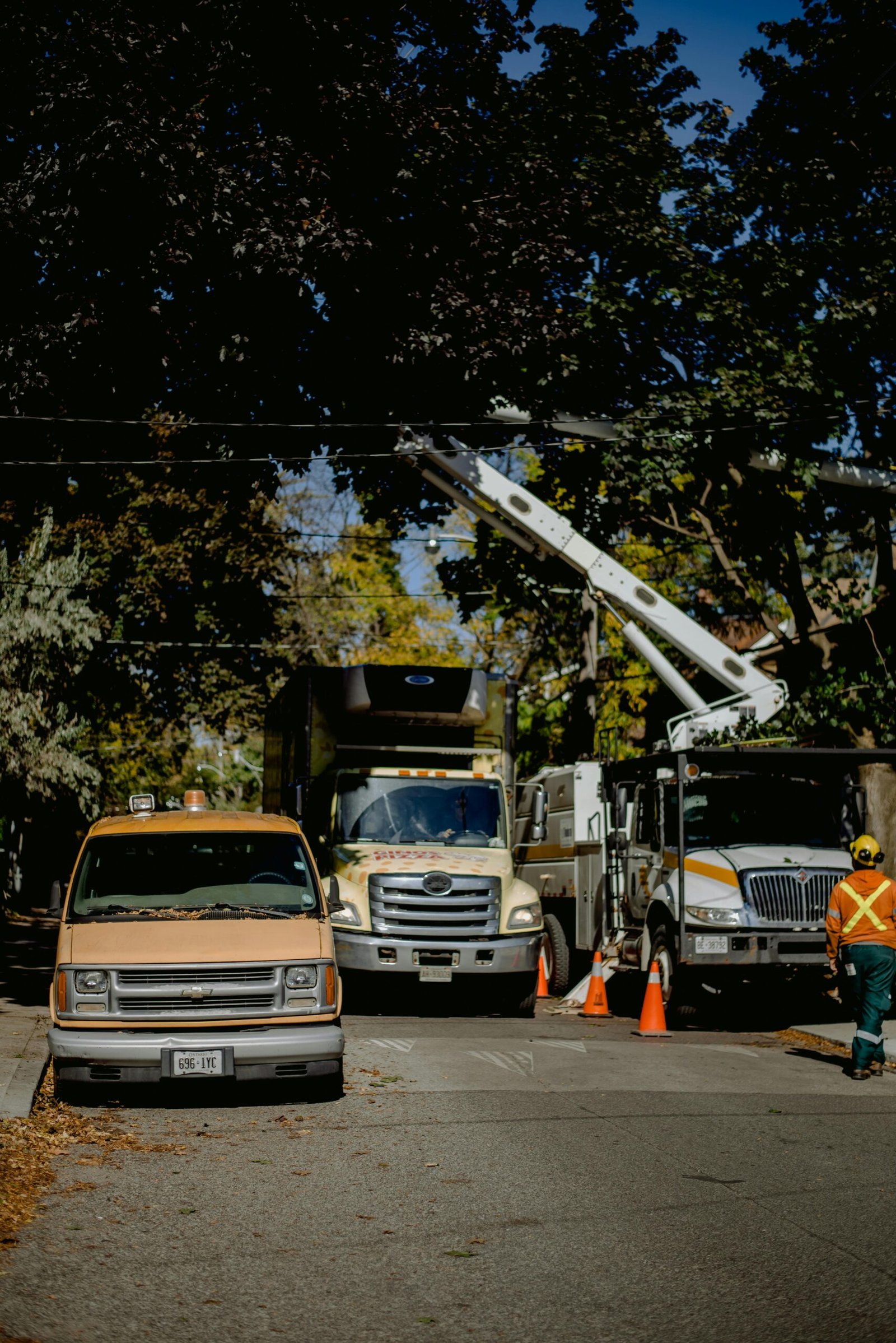 Green Peak tree service storefront